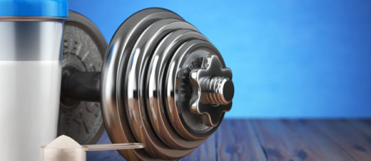 Protéine musculation