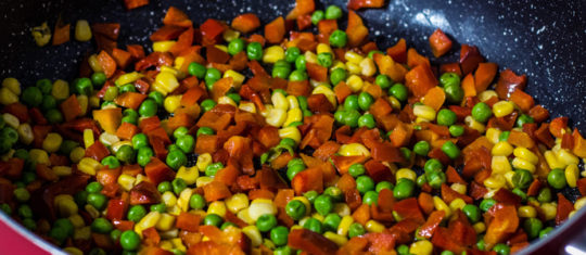 régime sans viande
