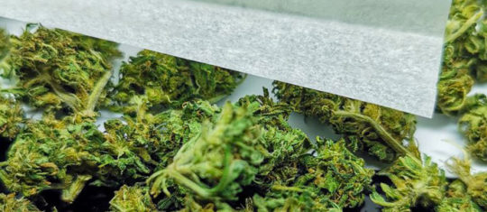 Accessoires pour fumer du CBD
