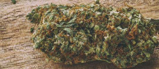 Lemon Haze CBD