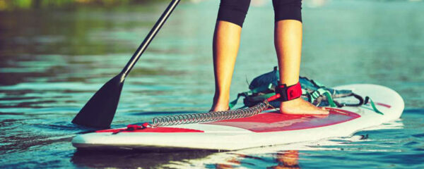 paddle