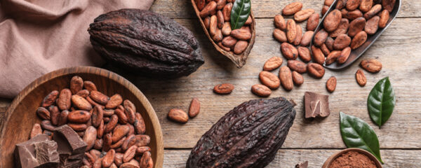 cacao