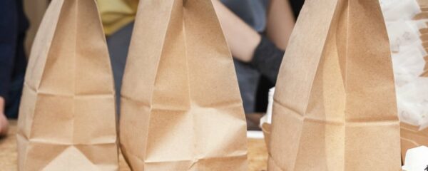 sacs kraft