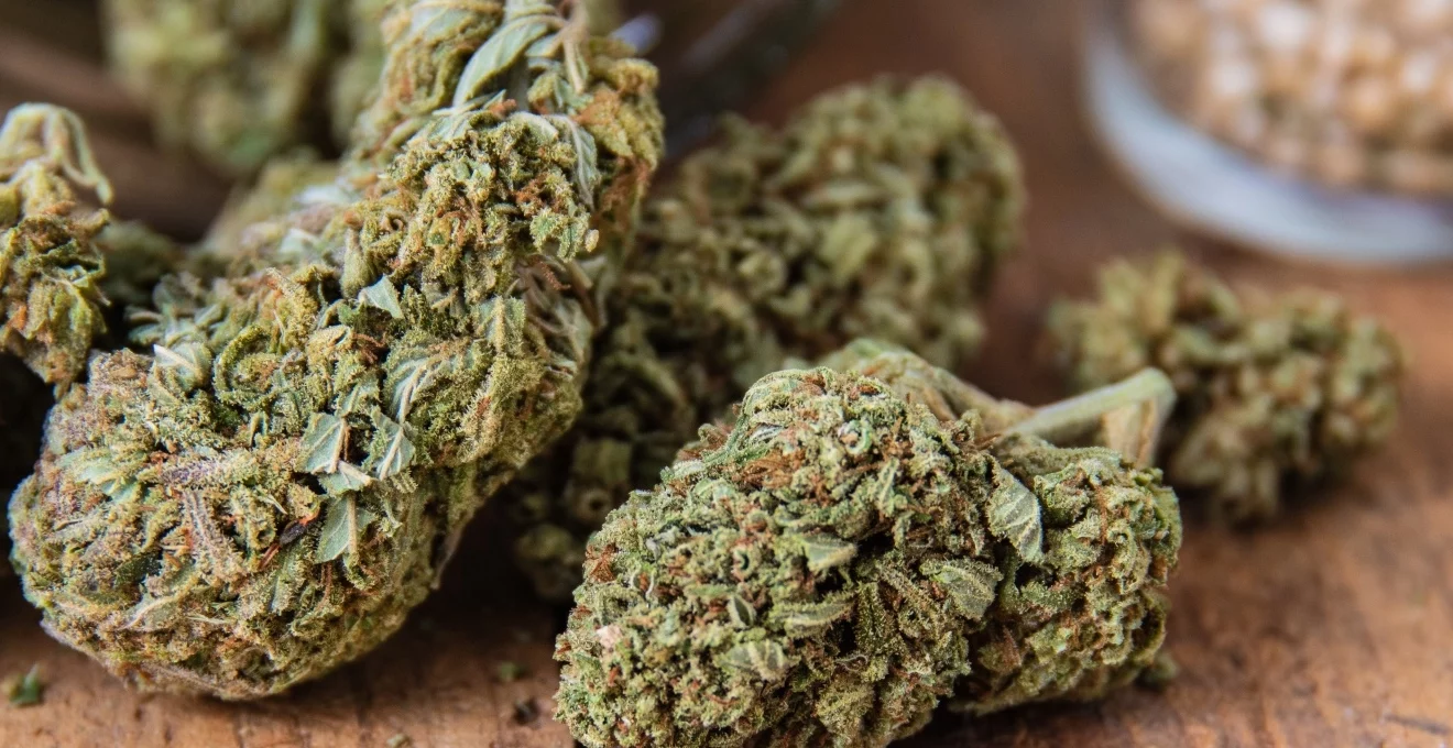 que-recherchent-les-consommateurs-de-cbd-p