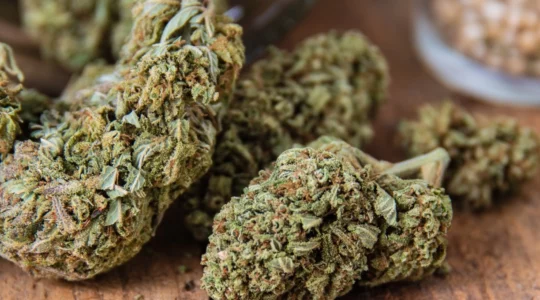 que-recherchent-les-consommateurs-de-cbd-p